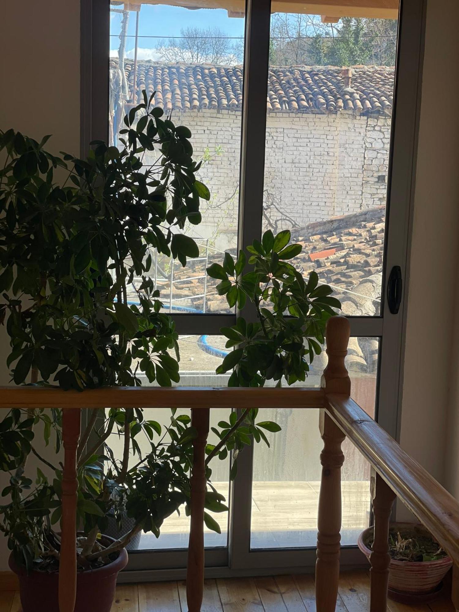 Guesthouse Kroi City Center Berat Eksteriør billede